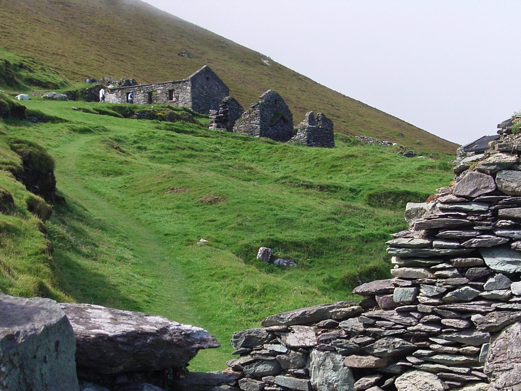 a close up of a hillside next to a rock wall