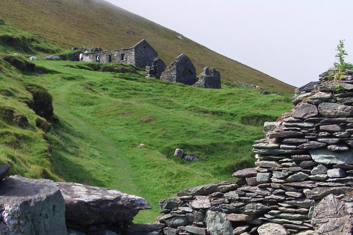 a close up of a hillside next to a rock wall