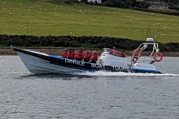 a boat on a body of water