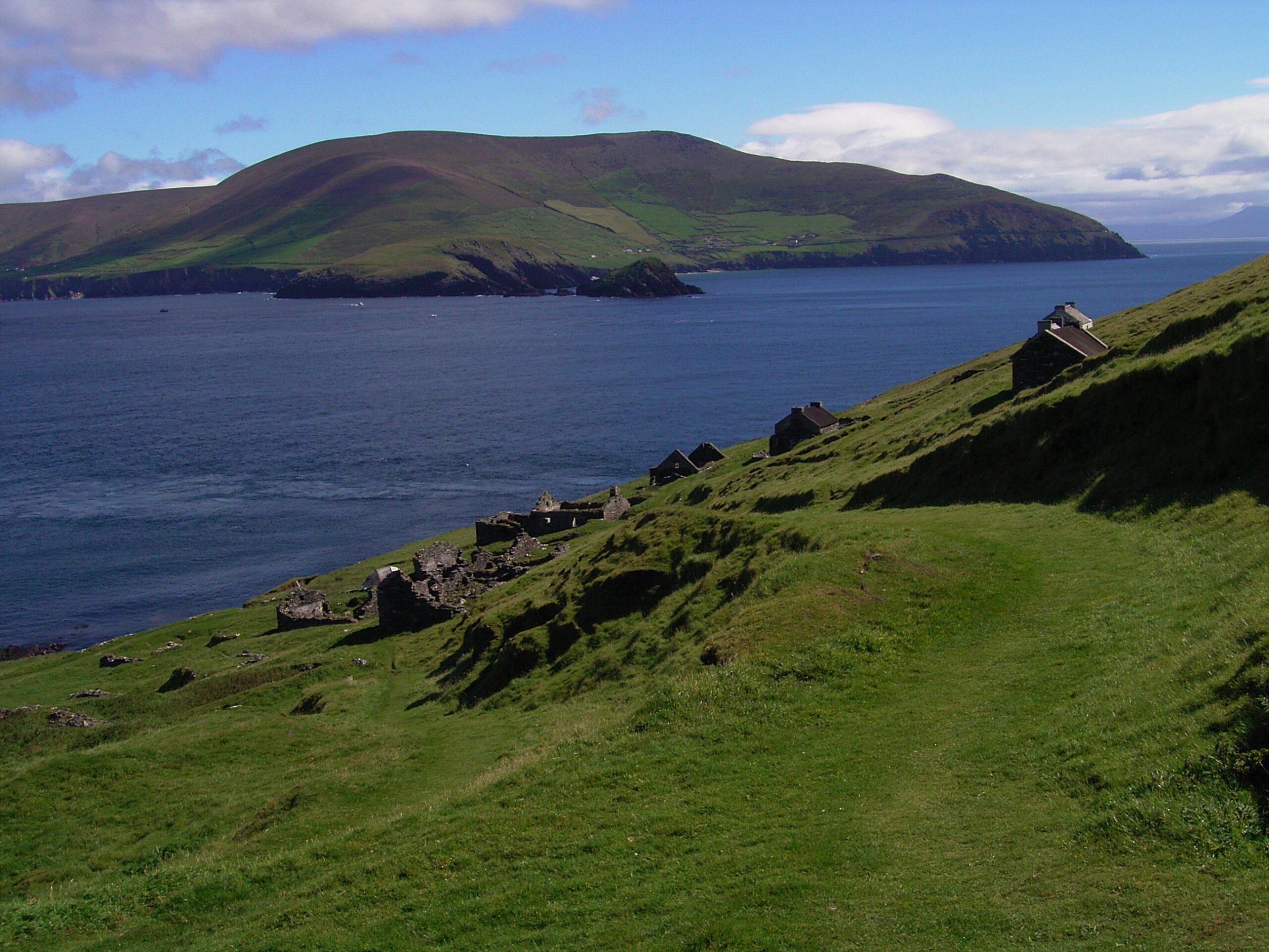a close up of a hillside next to a body of water