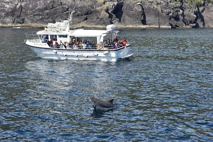 a small boat in a large body of water
